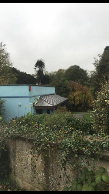 1 Laurel Cottages 道利什 外观 照片