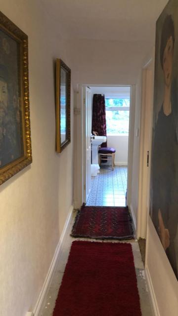 1 Laurel Cottages 道利什 外观 照片